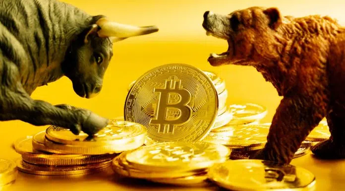 Moeda de Bitcoin entre touro e urso.