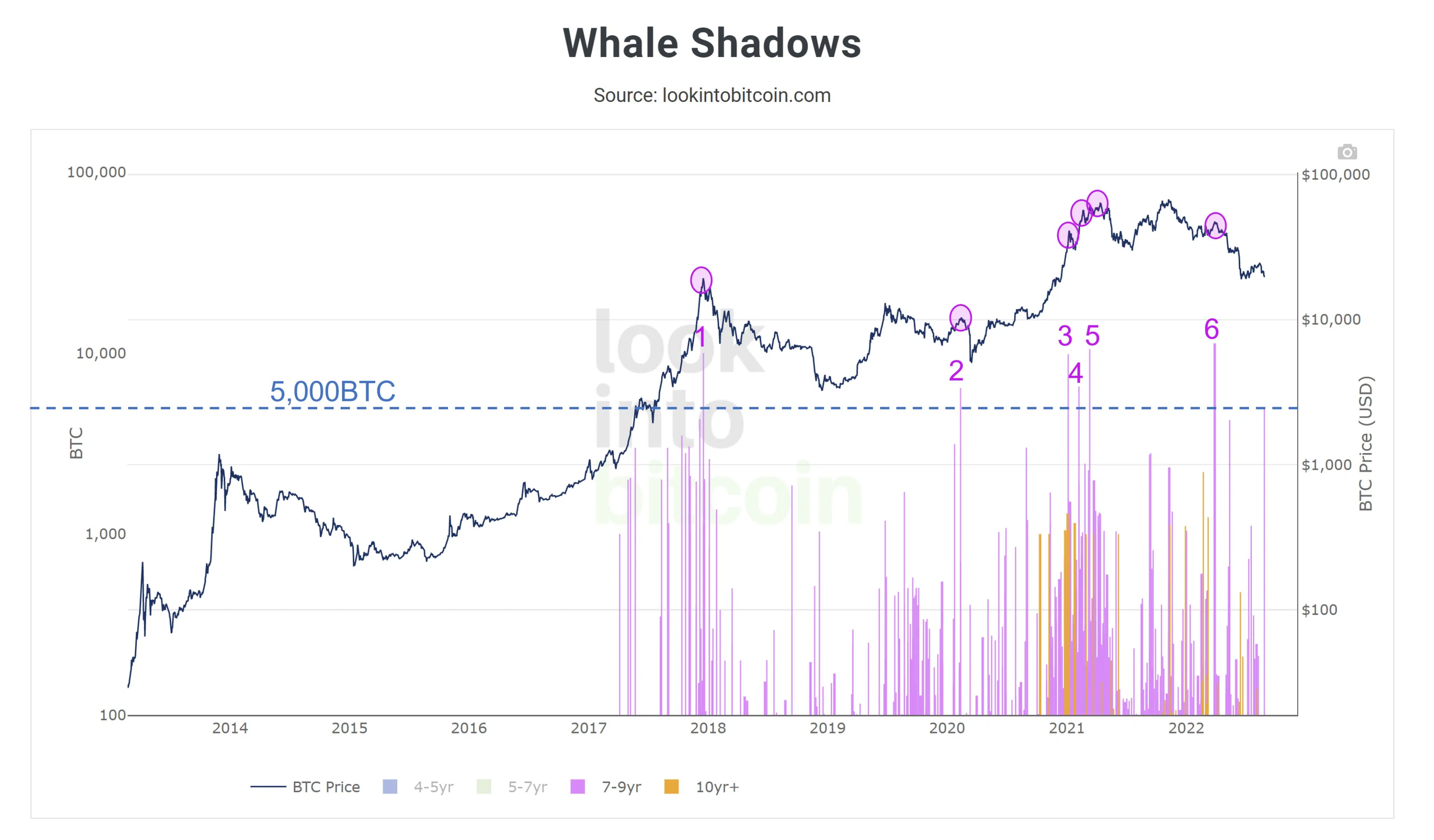 Indicador muestra que Bitcoin cae 6 veces que las antiguas ballenas movieron sus monedas