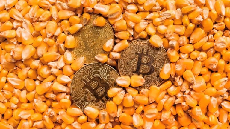 Moedas de Bitcoin sobre milho, representando conceito de commodity.