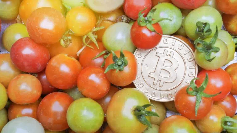 Bitcoin mergulhado em frutas vermelhas