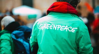 Greenpeace critica vitória da Grayscale e pede cautela na aprovação de ETFs de Bitcoin