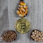 Sementes de soja, trigo e milho com bitcoin, criptomoedas e blockchain na agricultura