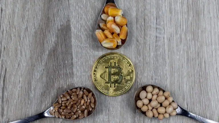 Sementes de soja, trigo e milho com bitcoin, criptomoedas e blockchain na agricultura