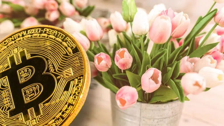 Bitcoin e tulipas.