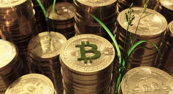Ambientalistas investem R$ 5 milhões para bater no Bitcoin