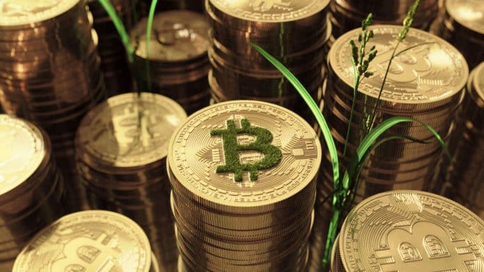 Bitcoin verde.
