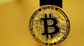Analista do Governo Digital diz que Bitcoin muda relacionamentos