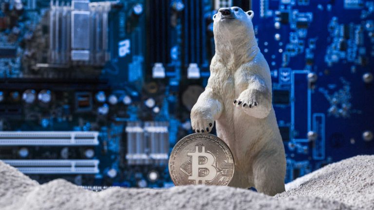 Urso polar e Bitcoin, simbolizando o inverno cripto.