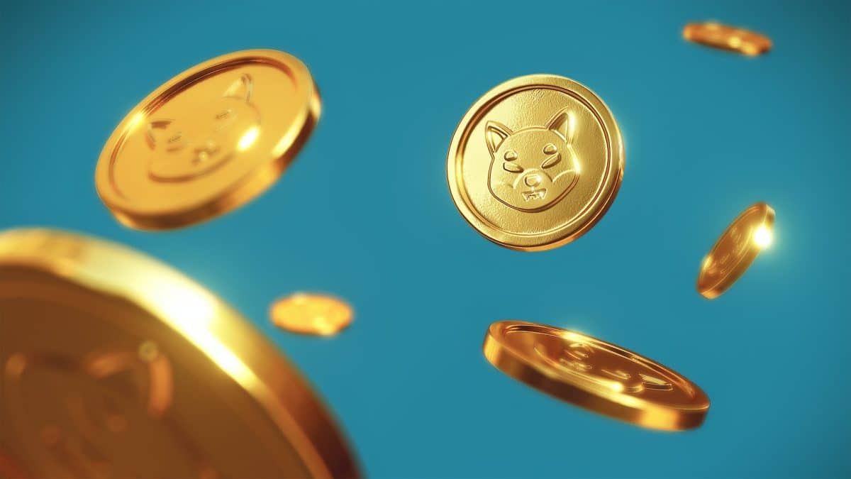 Criptomoeda Shiba Inu caindo