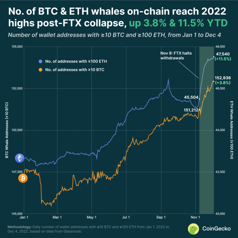 Estudo sobre baleias de Bitcoin e Ethereum da CoinGecko após o fim da FTX mostra que endereços cresceram durante fuga de corretoras centralizadas