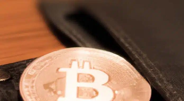 Moeda de bitcoin ao lado de carteira. Fonte: Dall-E.