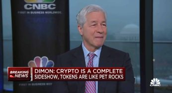 CEO do JPMorgan diz que criptomoedas são “pedras de estimação”
