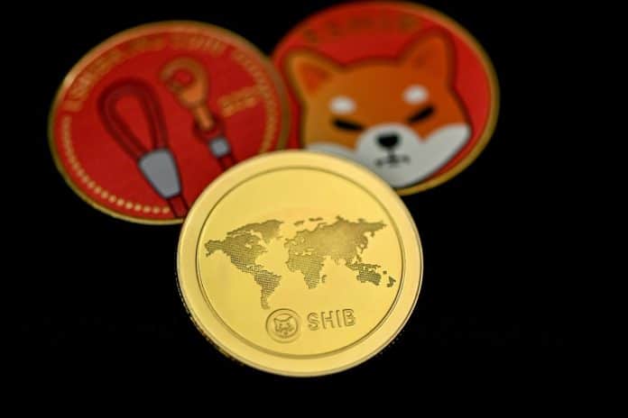 Moedas simbólicas de Shiba Inu em destaque