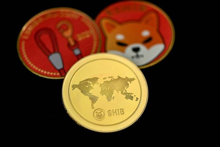Moedas simbólicas de Shiba Inu em destaque