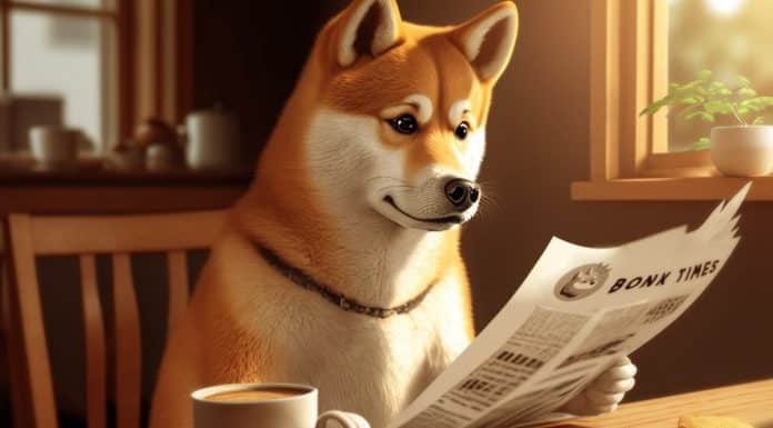 Símbolo da criptomoeda meme Bonk Inu, que disparou nos últimos dias, utiliza imagem da raça de cachorros Shiba Inu