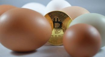 Preço do ovo dispara e vira meme entre investidores de Bitcoin