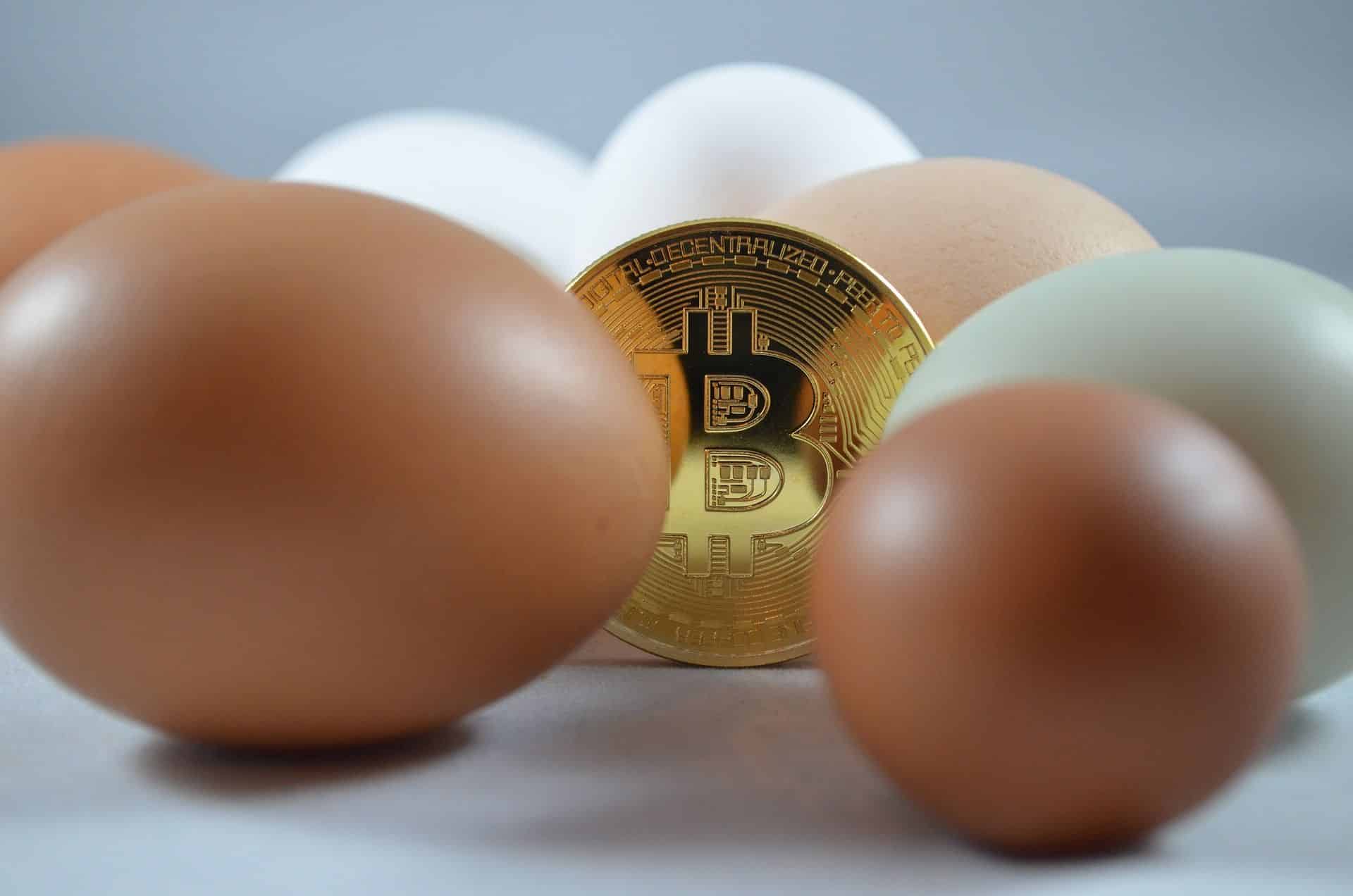 ovos e moeda de bitcoin
