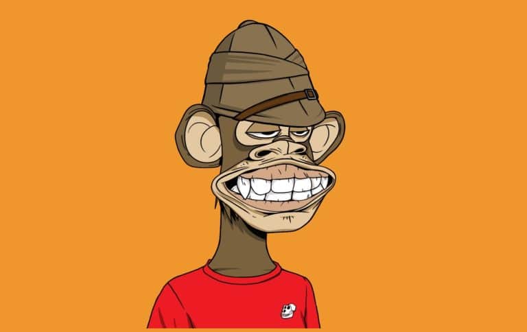 NFT macaco