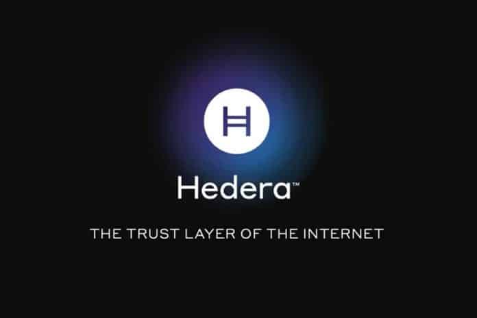 Rede Hedera