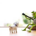 Cachorro observando com atenção para sapo tocar violão, BabyDoge e Pepe memecoins