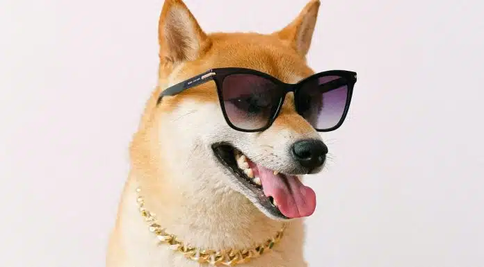 Cachorro símbolo da Dogecoin com óculos