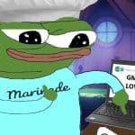 Meme da Marinade Finance, a MSOL, com imagem de sapo Pepe