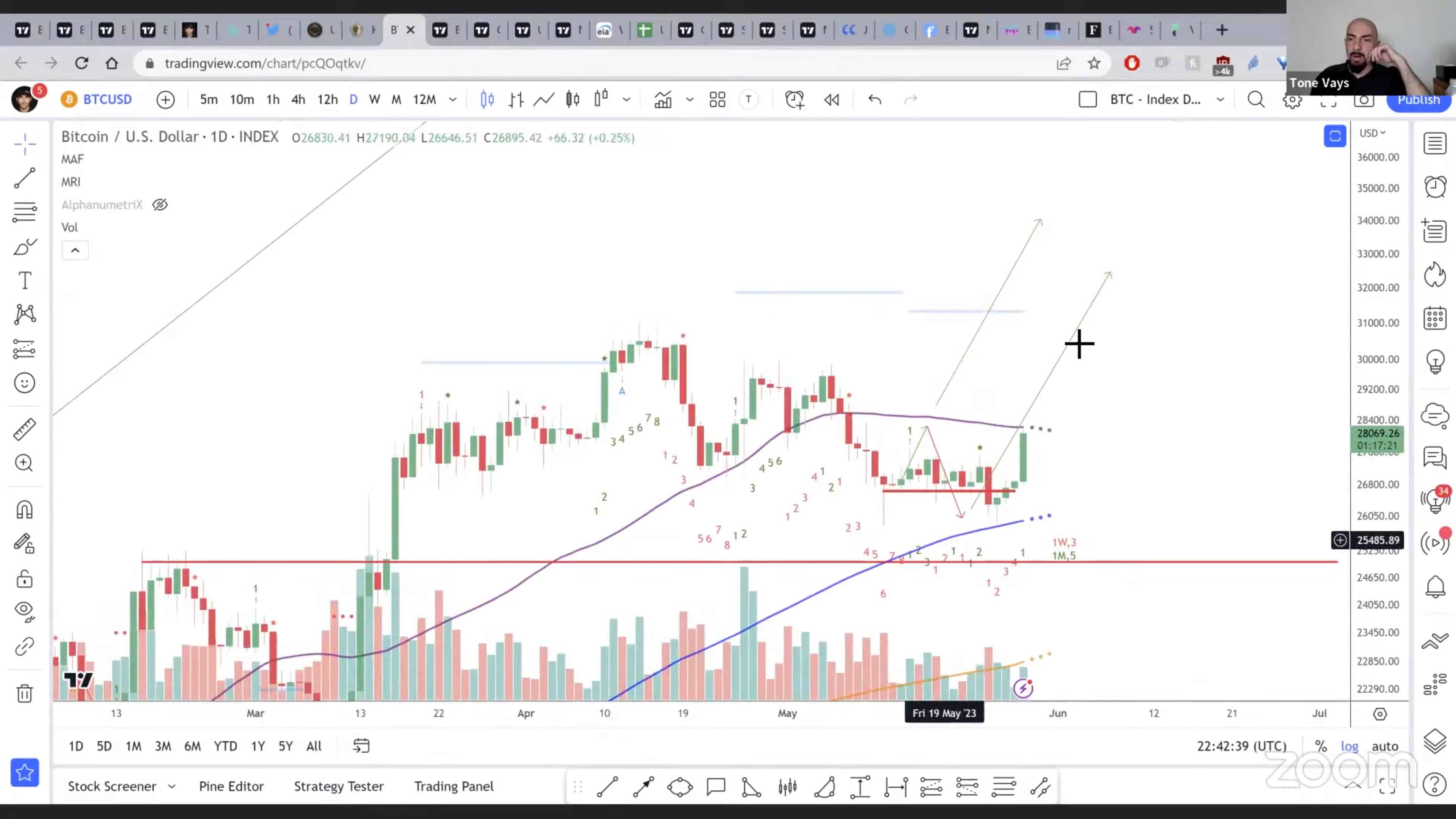 Análise do Bitcoin por Tone Vays. Fonte: YouTube/Reprodução.