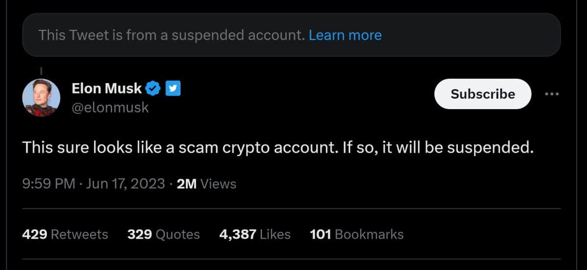 Elon Musk acusa Bob de estar aplicando golpes.