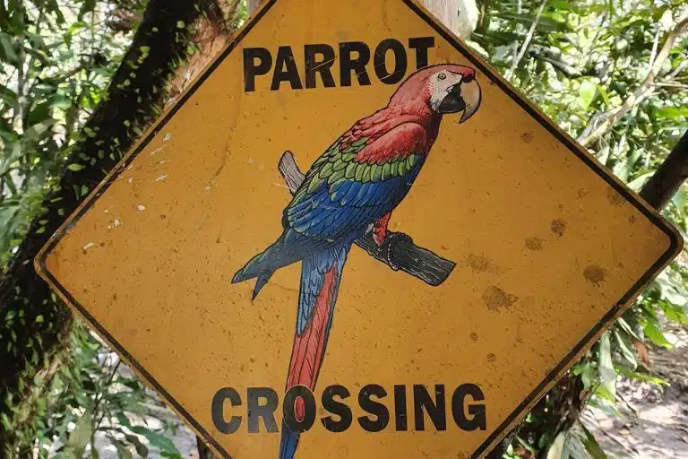 Placa com advertência sobre papagaios na área