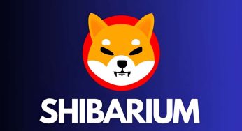 Shiba Inu despenca e desenvolvedor desabafa: “ferramos tudo”
