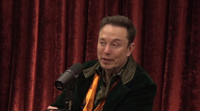 Elon Musk NFT Joe Rogan (Imagem: Spotify)