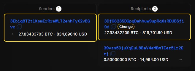 Transação na qual usuário afirma ter perdido 27 bitcoins (R$ 5,7 milhões). Fonte: Blockchair.