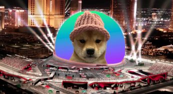 Memecoin arrecada R$ 3,2 milhões para colocar cachorro em esfera futurista de Las Vegas