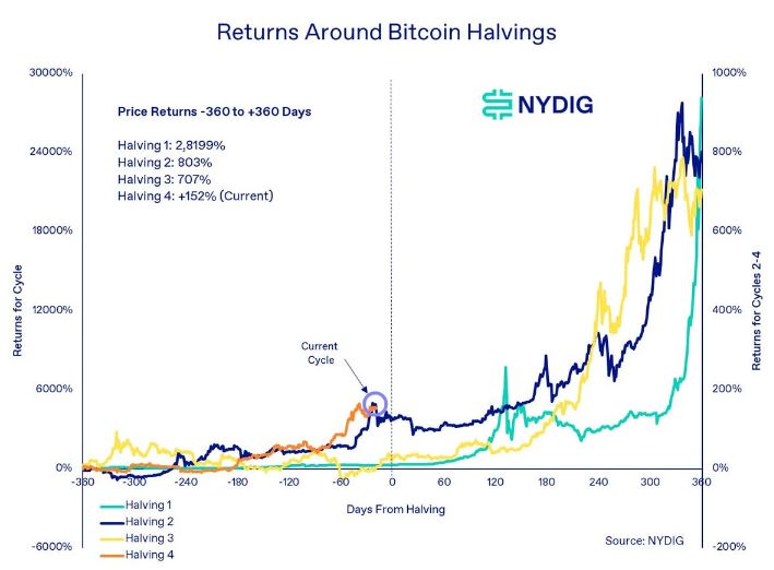 Bitcoin halving previsão (NYDIG)