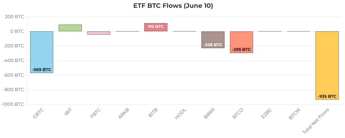 ETFs de Bitcoin americanos tiveram saídas de 935 bitcoins nesta segunda-feira (10), mas número é pequeno quando comparado às entradas da semana anterior. Fonte: HeyApollo.