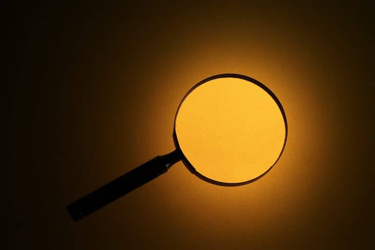 Lupa de investigação em destaque Brasil