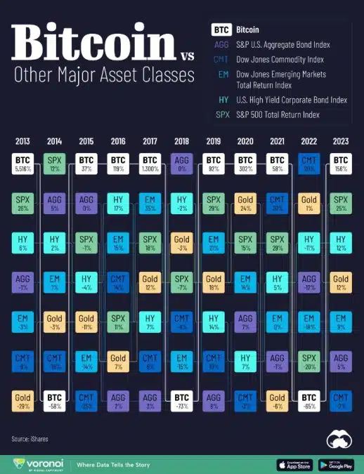 Desde 2013, Bitcoin liderou ganhos em 8 anos. Fonte: Visual Capitalist.