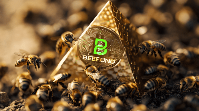 Beefund piramide financeira