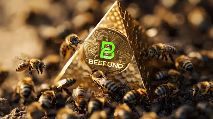 Beefund piramide financeira