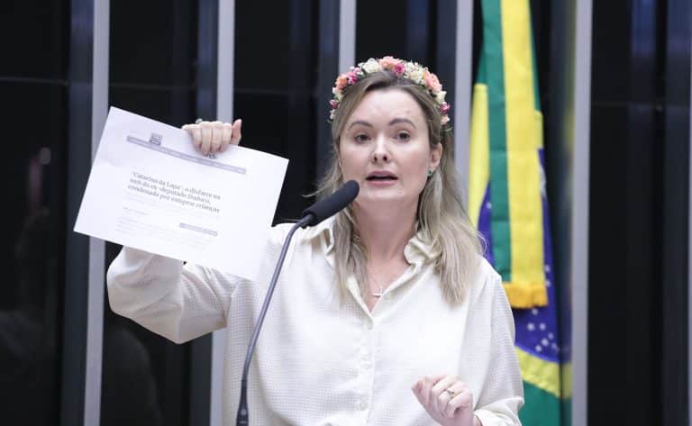 Deputada Julia Zanatta segurando papel em Plenário da Câmara dinheiro moeda