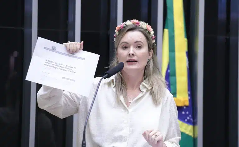 Deputada Julia Zanatta segurando papel em Plenário da Câmara dinheiro moeda