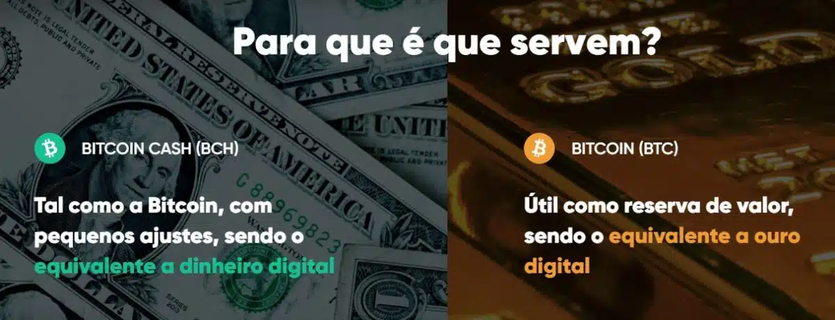 Site postado por Kim Dotcom aponta diferenças entre Bitcoin Cash (BCH) e Bitcoin (BTC).