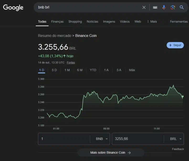 Preço da Binance Coin (BNB) continua aparecendo normalmente nas buscas do Google, ao contrário de Bitcoin, Ethereum e outras moedas.