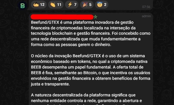 Mensagem de um dos administradores da Beefund comparando criptomoeda BEEB ao Bitcoin.