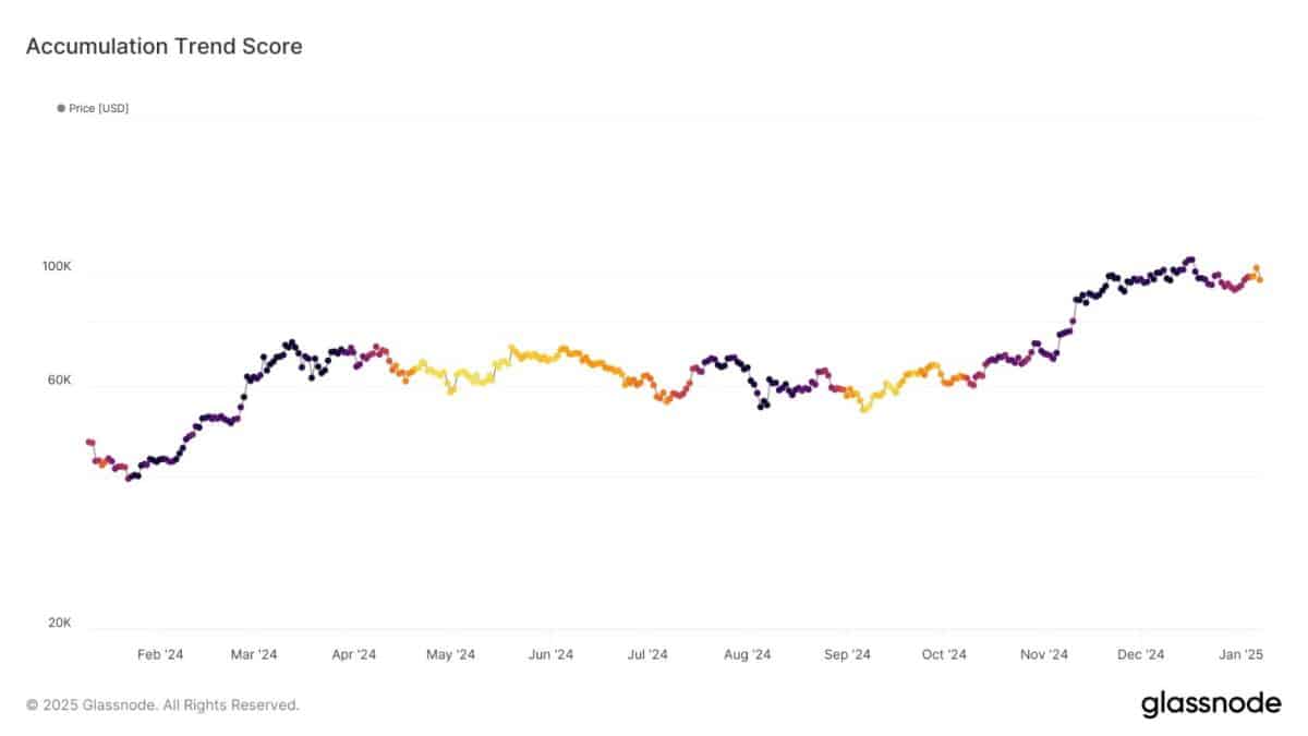 Índice de Tendência de Acumulação de Bitcoin. Fonte: Glassnode. Índice de Tendência de Acumulação de Bitcoin. Fonte: Glassnode.