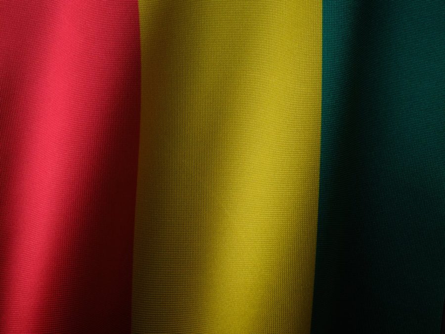 Bandeira da República de Guiné