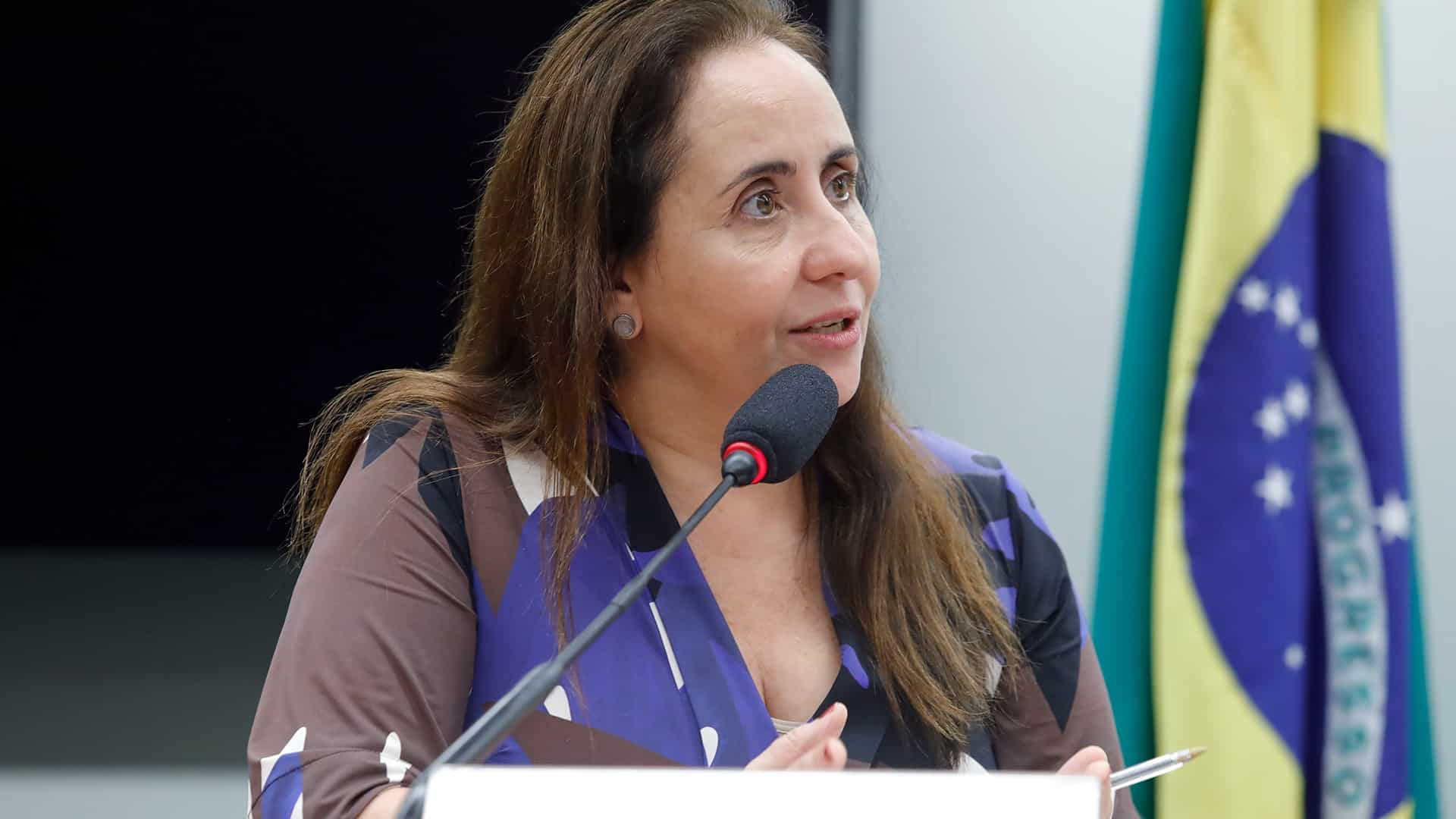 Dep. Adriana Ventura (NOVO-SP) projeto de lei