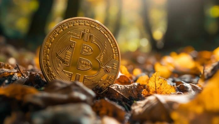 Bitcoin no mato (Imagem gerada por IA)