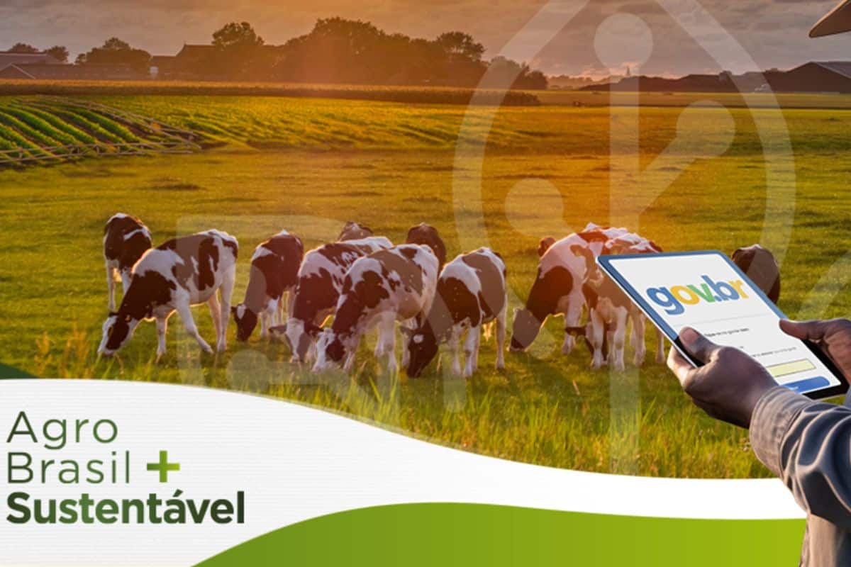 Governo brasileiro quer usar tecnologia das criptomoedas para monitorar produção agrícola