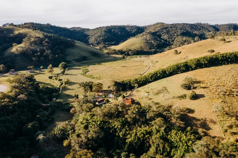 Santo Antônio do Pinhal, SP. Fonte: Matheus Bertelli/Pexels.